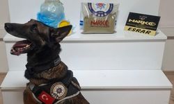 Balıkesir’de uyuşturucu operasyonu