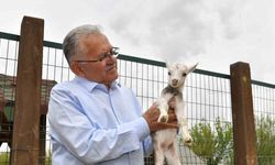 Başkan Büyükkılıç, hayvanat bahçesini ziyaret etti