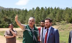 Başkan Tatık, Tavas’ı yayla turizmiyle tanıştırmak için kolları sıvadı
