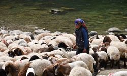 Bir çocuğun sessiz çığlığı: "Hiç oyuncağım olmadı"