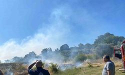 Bodrum’da zirai alan yangını