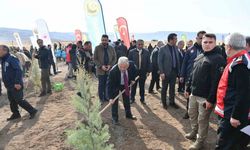Büyükşehirden 6 yılda 750 bin fidan ile Kayseri’ye ’yeşil’ katkı