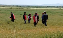 Çanakkale’de üreticilerin ekili dikili alanlarında saha incelemesi yapıldı