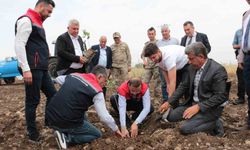 Cizre’de 2,5 milyon TL değerinde 50 çiftçiye verilen badem ve fıstıkların dikimi yerinde inceleme