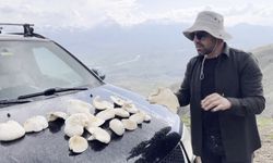Dağlarda kendiliğinden yetişiyor, kilosu bin 250 TL’den satılıyor