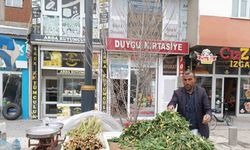 Diyadin’de baharın müjdecisi ışkın ve çiriş tezgahları süslüyor