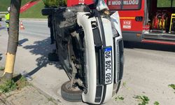Düz giderken ağaca çarpıp devrildi: O anlar kamerada