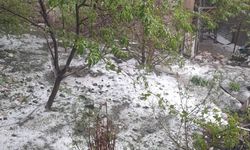 Elazığ’ı dolu vurdu