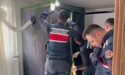 Elbise dolabından uyuşturucu serası çıktı: 4 tutuklama