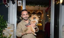 Güzellik yarışmasında birinci seçilen köpek bir hafta sonra ortadan kayboldu