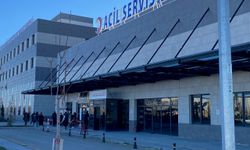 Havyan otlatma kavgası kanlı bitti: 1 yaralı