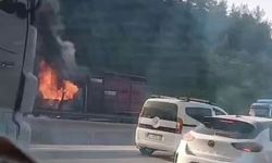 Hayvan yüklü kamyon alevlere teslim oldu