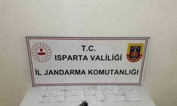 Isparta’da tefecilik operasyonu