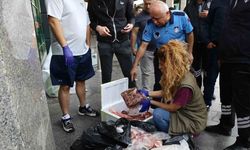 İzmir’den Antalya’ya yolcu otobüsüyle çöp poşetinde 300 kilo et gönderdiler