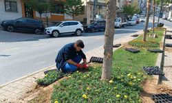 Kağıthane’de yeşil alanlarda bakım çalışması yapıldı