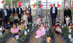 Kahta’da miniklerden çilek hasadı