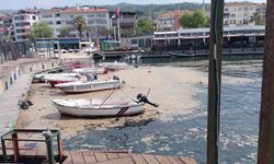 Karamürsel sahili müsilajla kaplandı