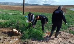 Kırıkkale’de bataklığa saplanan ineği itfaiye kurtardı