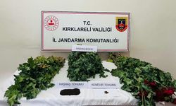 Kırklareli’nde uyuşturucu operasyonu: 8 gözaltı