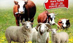 Malatya Büyükşehir Belediyesi’nden kurban kesim kursu