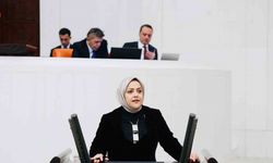 Milletvekili Ün, "Kadınların ev içi emeği mutlaka karşılık bulmalıdır"
