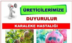 Niğde Tarım İl Müdürlüğü’nden Karaleke Uyarısı: Üreticiler ilaçlama yapmalı