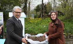Samsun’da üreticilere 150 bin çilek fidesi desteği