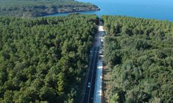Sinop’ta ormanlara girişler 31 Ekim’e kadar yasaklandı