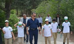 Soma’da ormanlar tertemiz oldu