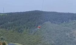 Sultangazi’de orman yangını
