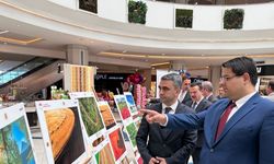Tarım, orman ve insan fotoğraflarda buluştu
