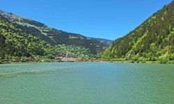 TBMM heyeti, turizm merkezi Uzungöl’de incelemelerde bulundu