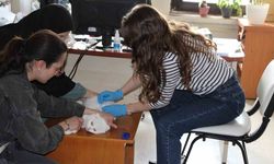 Tercan’da mikroçip çalışmaları devam ediyor