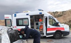 Van’da trafik kazası: 1 yaralı