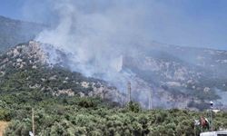 Bodrum’daki yangın kontrol altına alındı