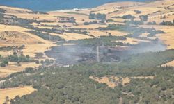 Çanakkale’de tarım arazisinde başlayıp ormana sıçrayan yangın kontrol altına alındı