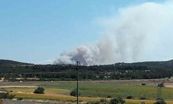Çanakkale’de tarım arazisinde yangın