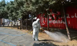 Kene ve haşerelerle mücadele için ilaçlama çalışmaları başladı