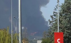 Bursa'da Büyük Orman Yangını: Dumanlar Şehrin Üzerini Kapladı