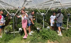 Doğanın kalbinde bir yaz masalı