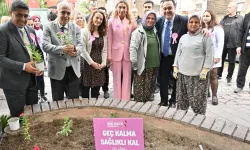 Meme kanseri için pembe çiçekler toprakla buluştu