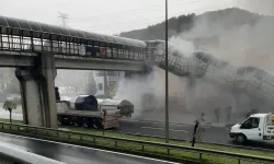 Düzce'de seyir halindeki tırın dorsesinde yangın çıktı