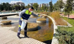 Malatya'da 12 ay kesintisiz vektör mücadelesi