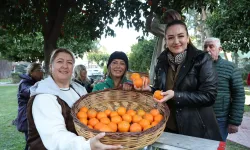 Antalya'nın turunçları kadın emeğiyle sofralara uzanıyor