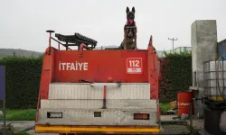 Balıkesir İtfaiyesi'nin yeni kahramanı: K9 köpeği İda