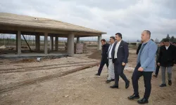 Bursa Yenişehir'de Hayvan Bakımevi ve Doğal Yaşam Alanı projesi şekilleniyor