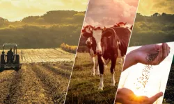 Çiftçiye 1,1 milyar TL'lik destek ödemesi başladı