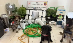 Düzce'de operasyon: 1 gözaltı