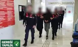 Alanya'da polis üzerine akrobatik şova 2 tutuklama!