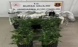 İnegöl'de evde esrar üretimine Jandarma baskını